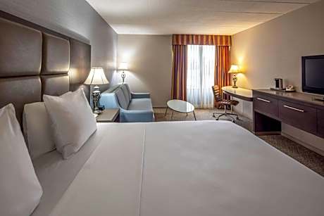 1 King Bed, Suite, Nonsmoking