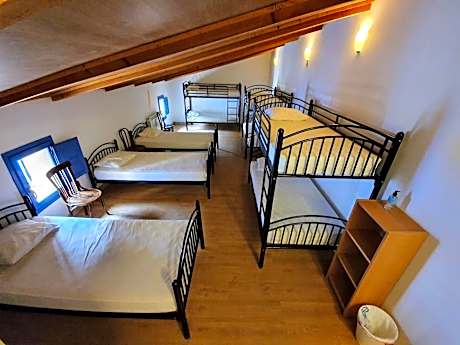 Bed in 6-Bed Mixed Dormitory Room