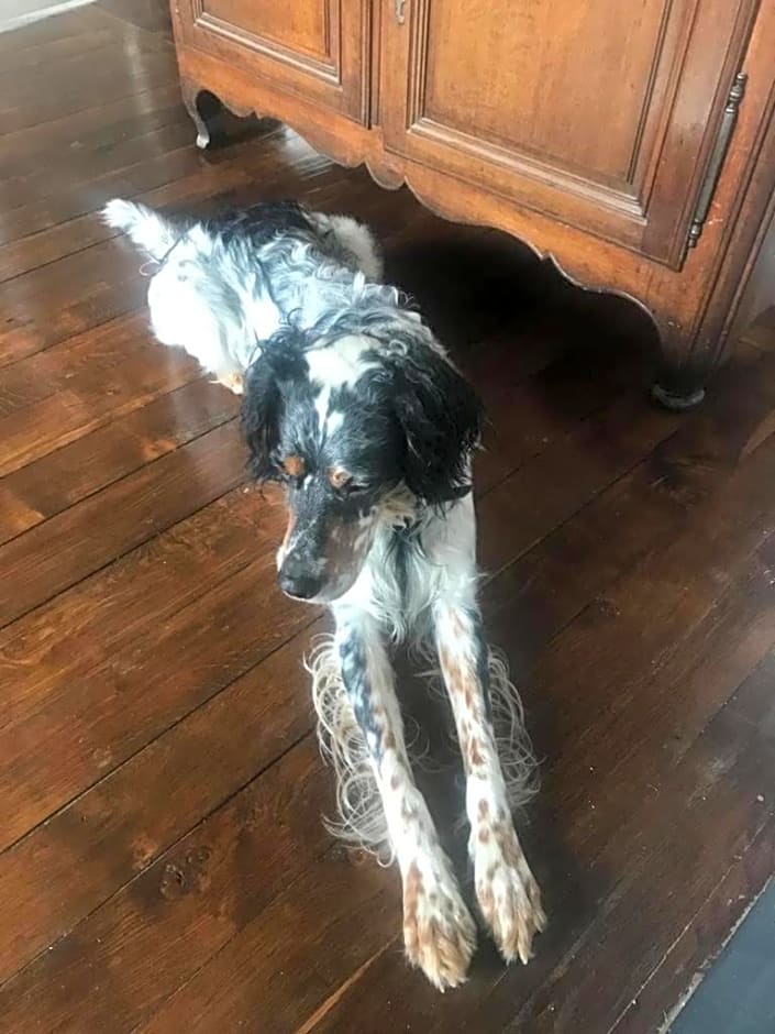 Chez Zoiseau et Zoiseautte