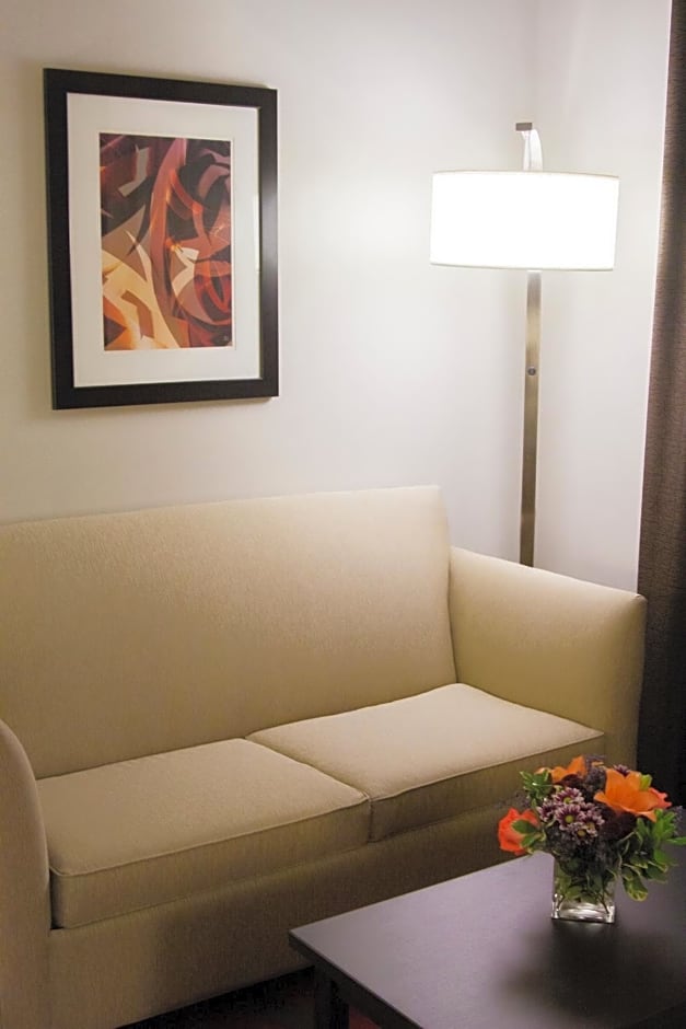 Holiday Inn Express Hotel & Suites Pittsburgh-South Side By IHG