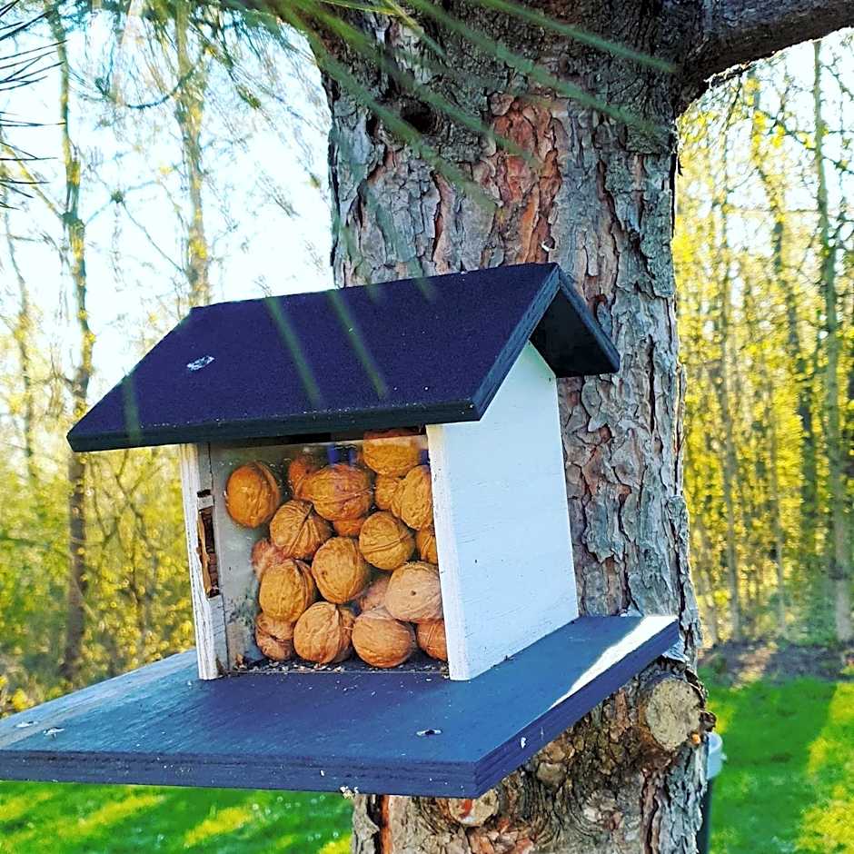 Hotel-Restaurant Elsterblick