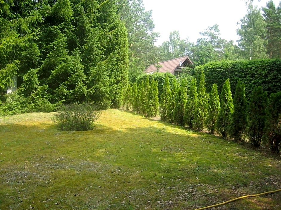 Dom letniskowy POŚRÓD KASZUBSKIEGO LASU