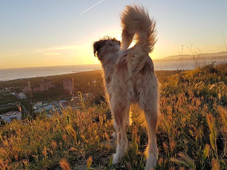 Green Element Guesthouse