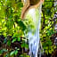 Hotel Jaiba Mahahual - Adults Only