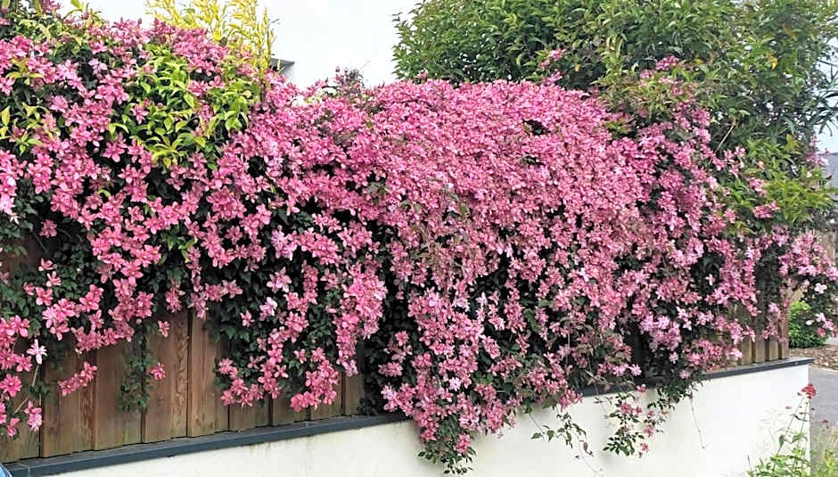 AMARRÉ Chambres d'Hôtes