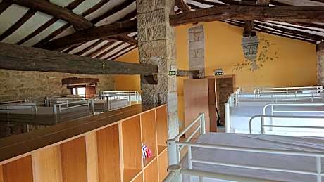 Single Bed in Mixed Dormitory Room