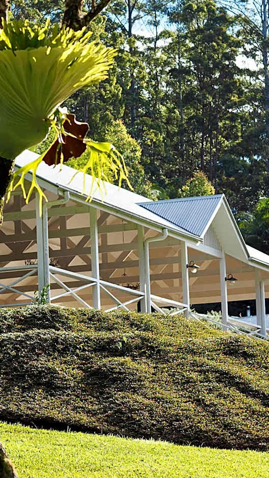 Nightcap Ridge - Byron Bay Hinterland