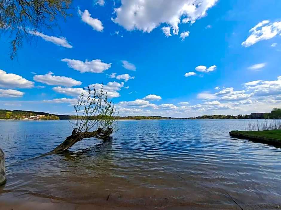 Mazurska Ostoja na Półwyspie - domki przy samym jeziorze