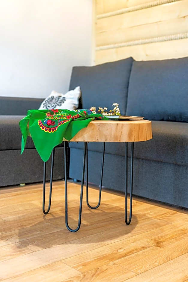 Aparthotel Rabiań-SKI 10metrów do wyciagu połączonego z całą Kotelnicą na miejscu wypoożyczalnia z serwisem