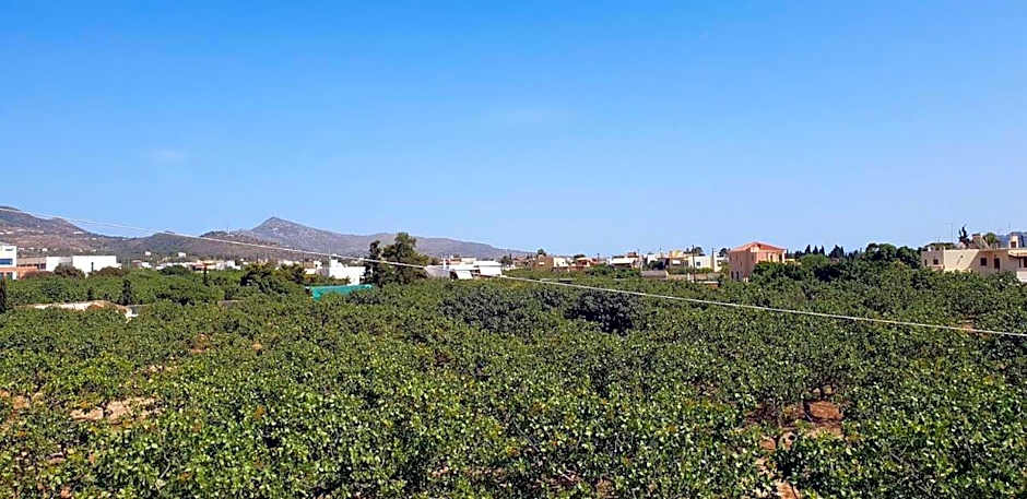 Miranta Hotel - Apartments & Studios