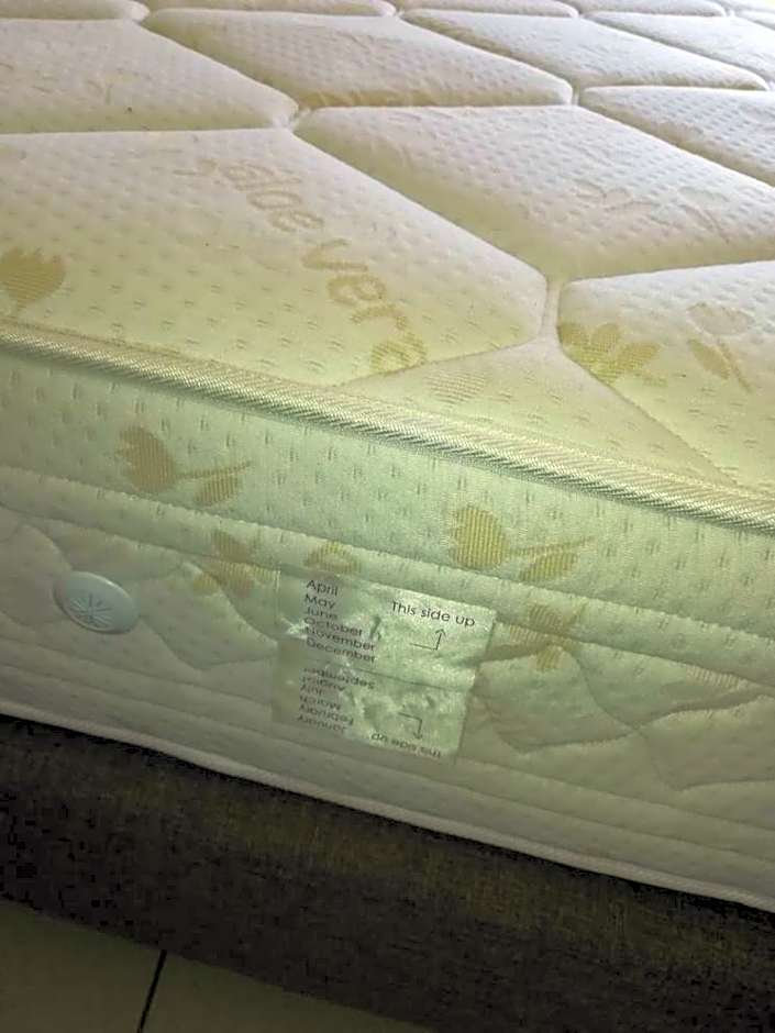 Mythos- Platanias- Hotel -Apts