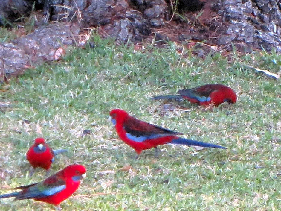 By the Beach B&B Self Contained Apartments