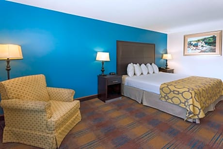 1 King Bed Non-Smoking