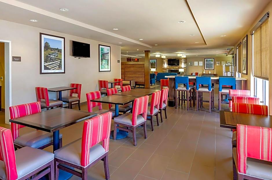 Comfort Inn & Suites Lynchburg Airport - University Area