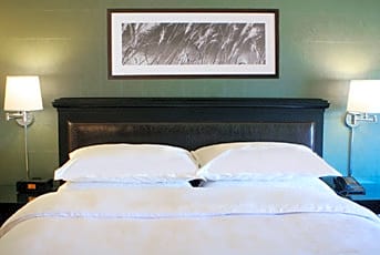 Guest room, 1 King