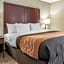 Comfort Inn Blue Ash North