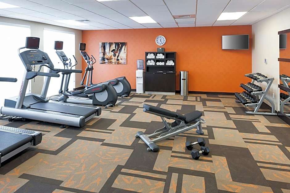 Courtyard by Marriott Houston North/Shenandoah