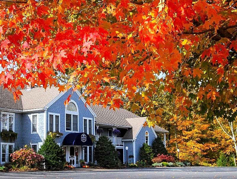 Cod Cove Inn
