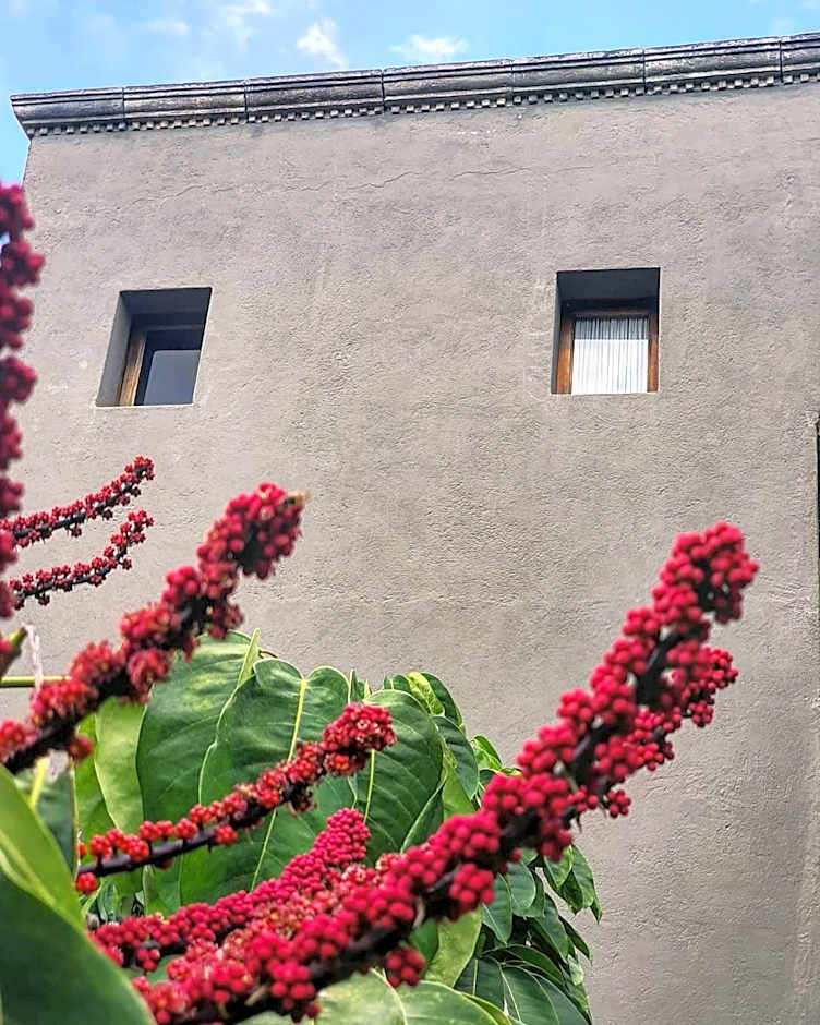 Casa Tierra Negra