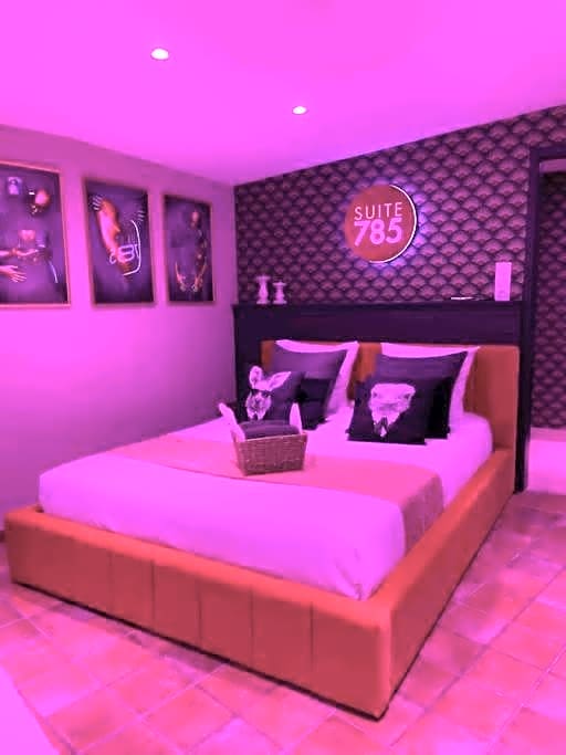 Chambre d h¿tes ind¿ndante Jacuzzi Cave Bar SUITE 785