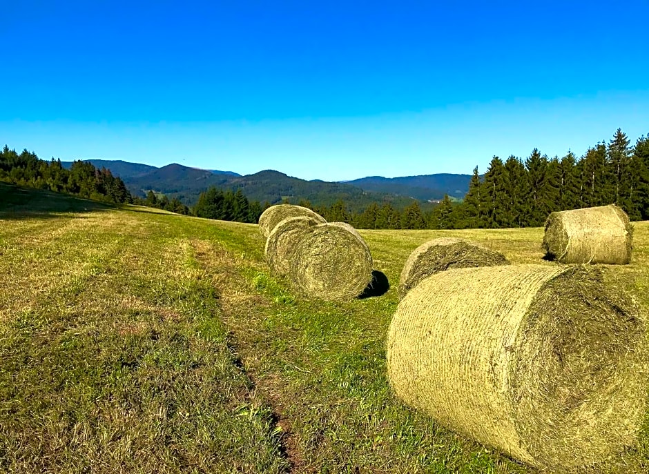 Genusshotel Hirschen - Erholung im Grünen (Südschwarzwald)