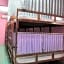 Lucky Hostel