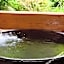 Ureshino Onsen Kujaku