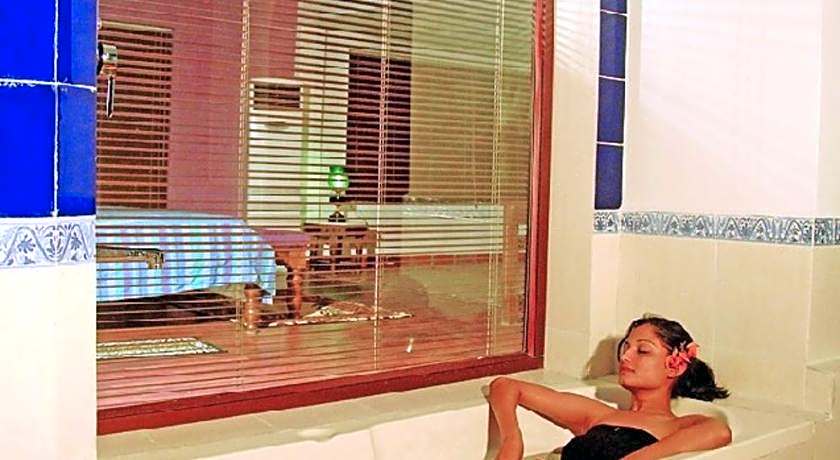 The Celebration Van Vilas