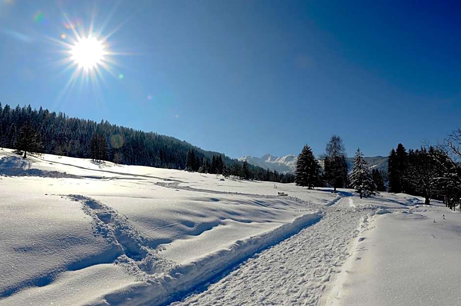 Alpen Apartments Zell am See