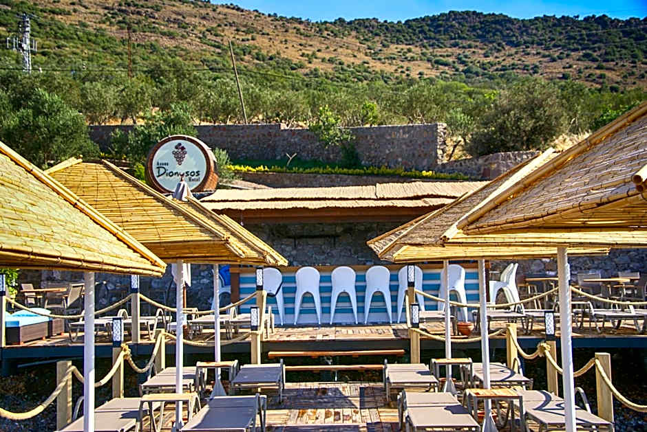 Assos Dionysos Special Class Hotel Adults Only 12 years