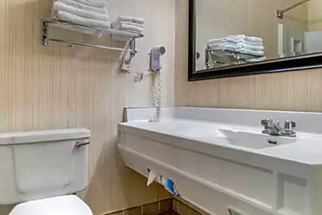 1 King Bed Suite Nonsmoking