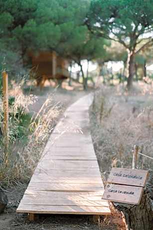 miCielo - Baumhäuser