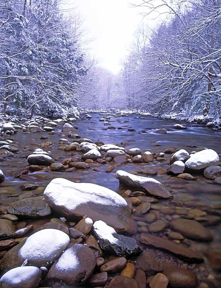 Wyndham Great Smokies Lodge