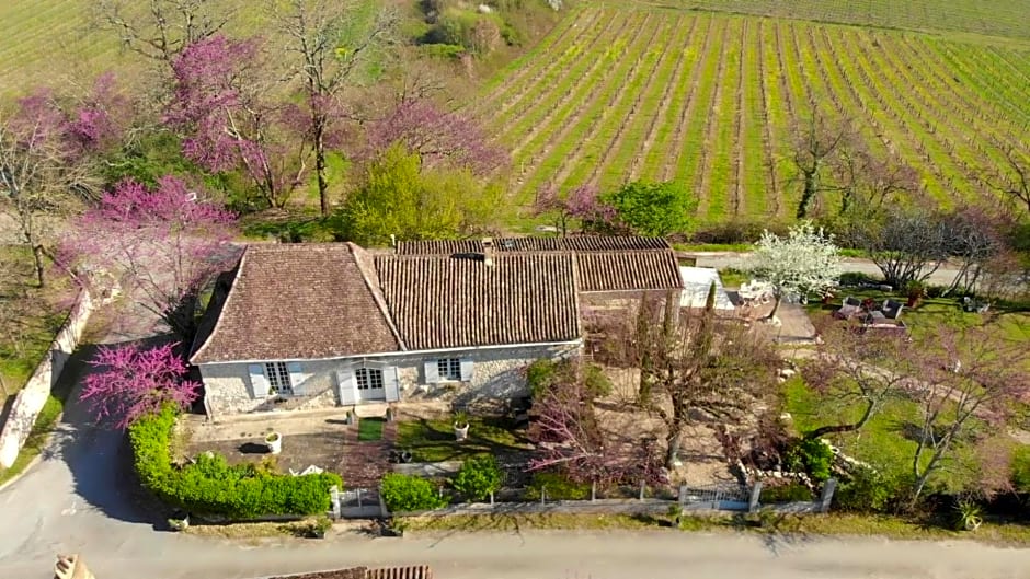 Cœur de vigne à Colombier 24560