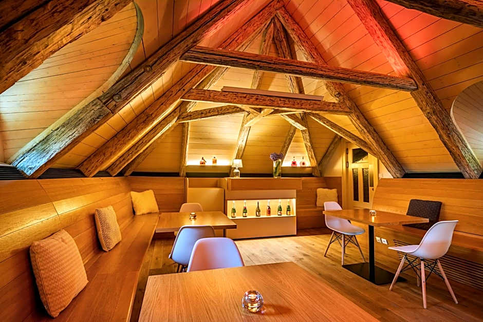 Bellevue hotel Karlov