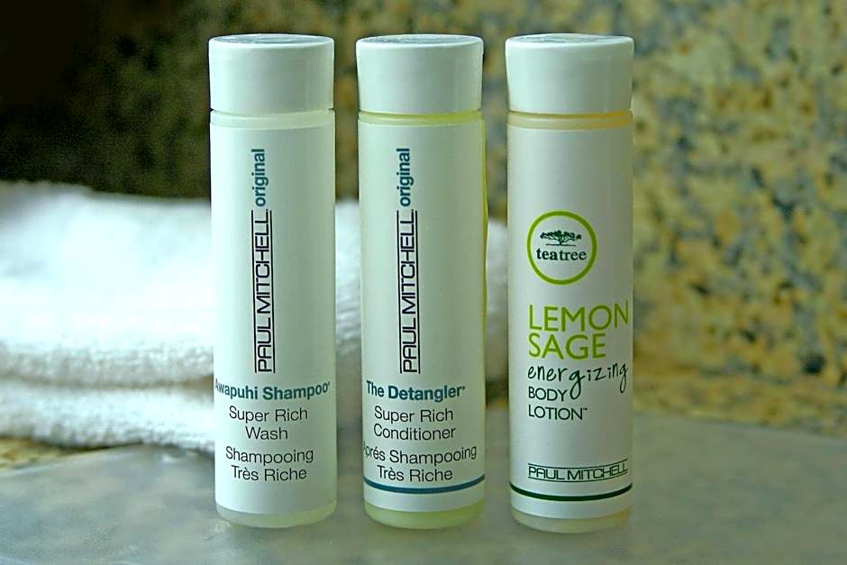 SpringHill Suites by Marriott Charleston Downtown/Riverview