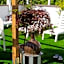 Kristalex Pet Friends Hotel