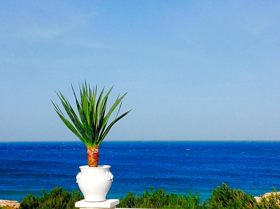 Playa del Mar - Adults Only