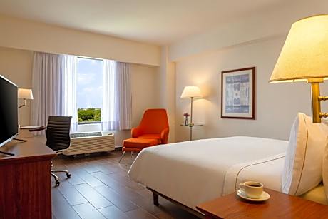 Superior King Room with Lagoon View