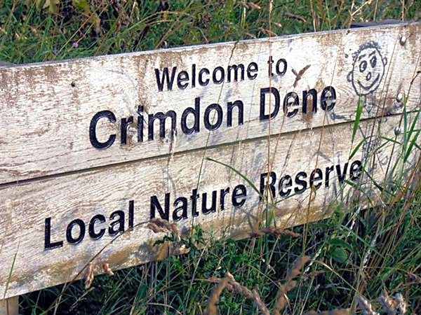 Sea View at Crimdon Dene Holiday Park