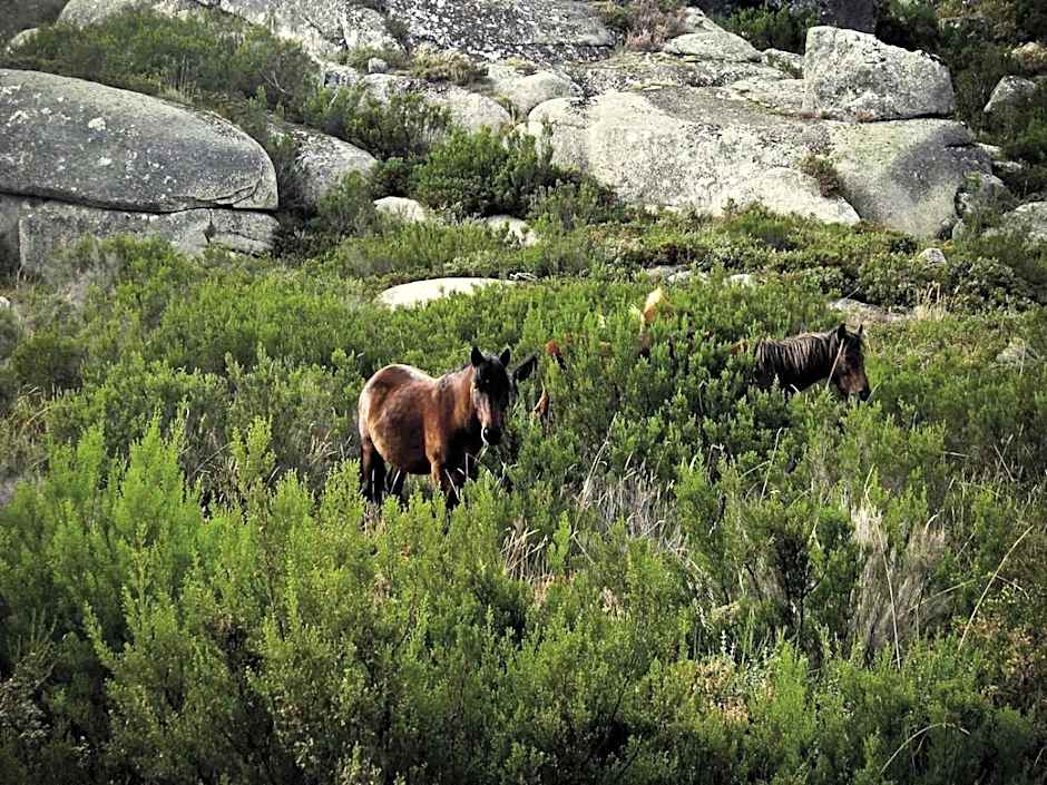 Hotel Castrum Villae - Walk Hotels