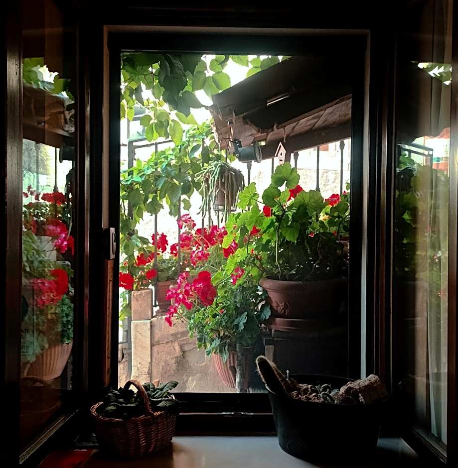 Garnì B&B La Rua-Pescocostanzo