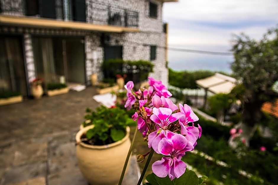 Hotel Villa Nisteri