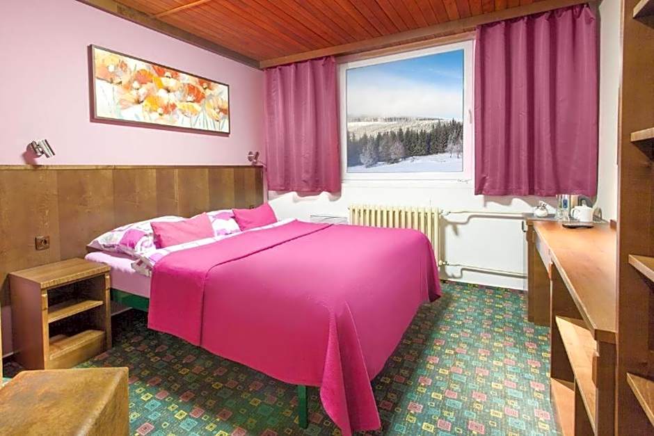 Hotel Tetřeví Boudy