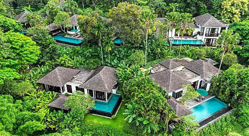 The Damai