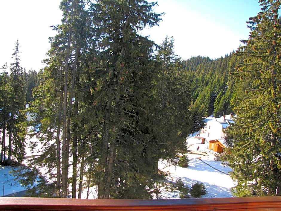 Aparthotel Pine Hills Pamporovo