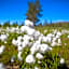 Lapland Hotels Kuopio