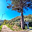 La Casita