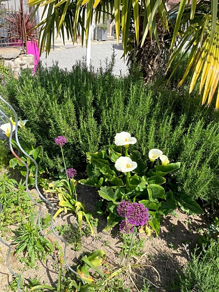 Maison Hirondelles Hôtes