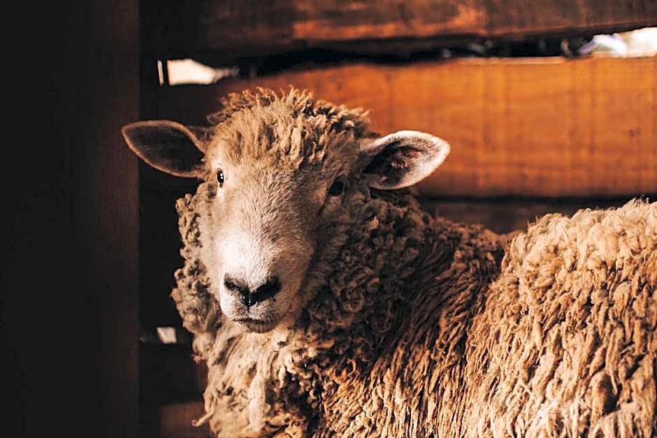 Pousada Cachoeira da Neve- Chalé Quero Quero